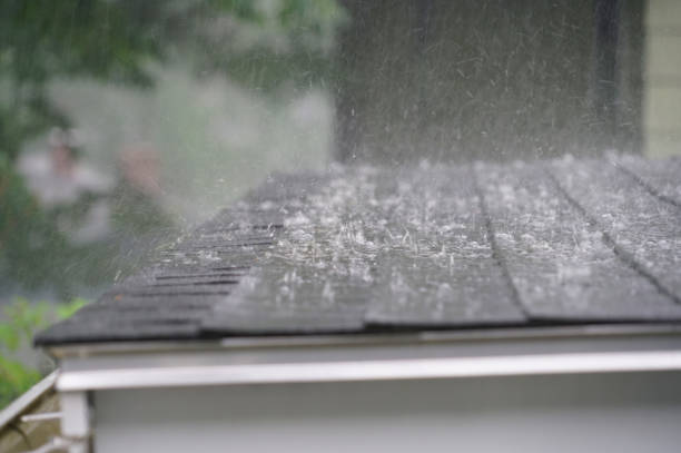 Best Gutter Replacement  in Bealeton, VA